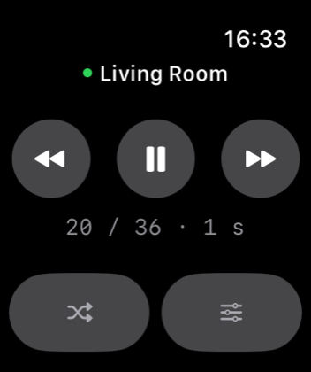 Apple Watch showing playback controls and the photo counter